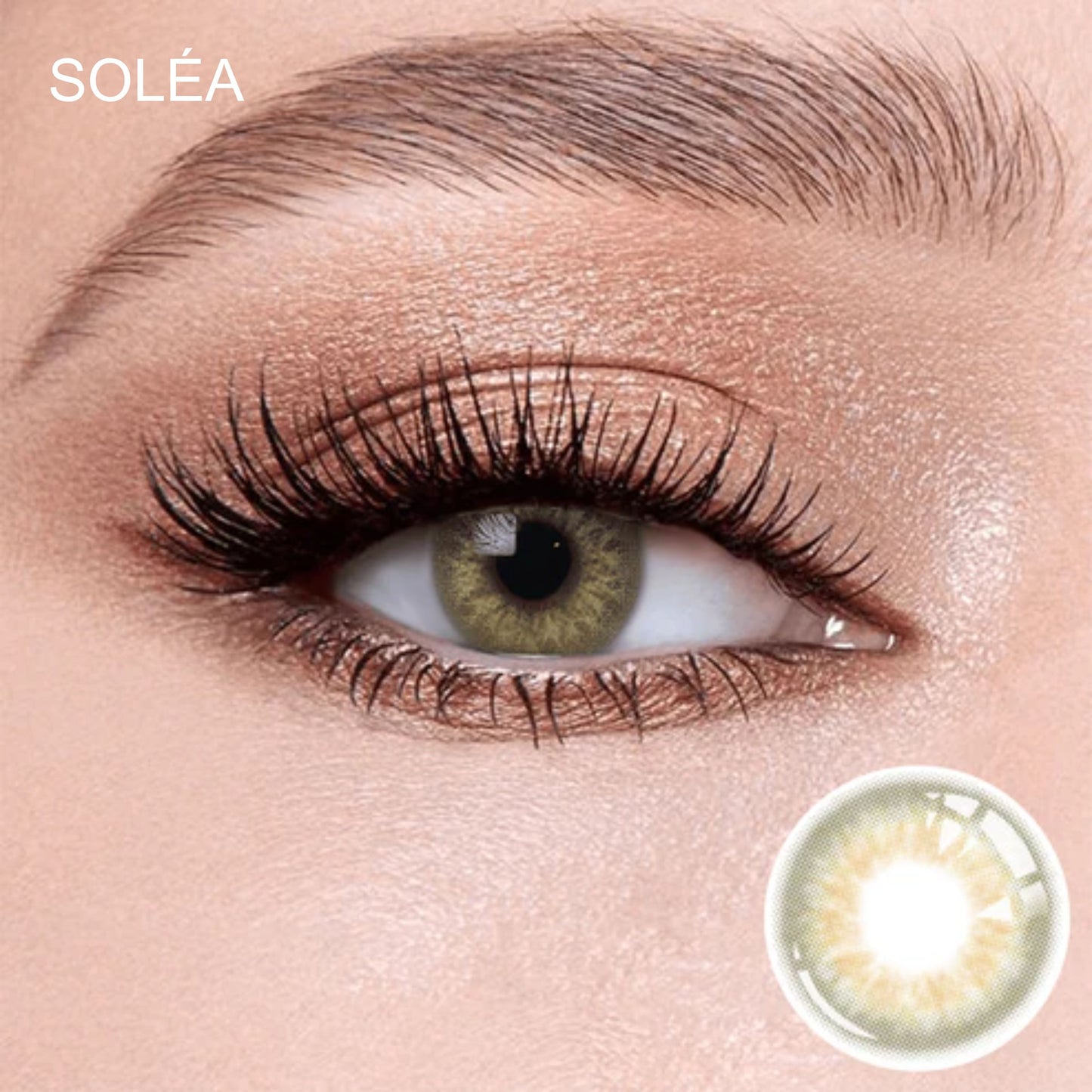 TAYLOR BROWN